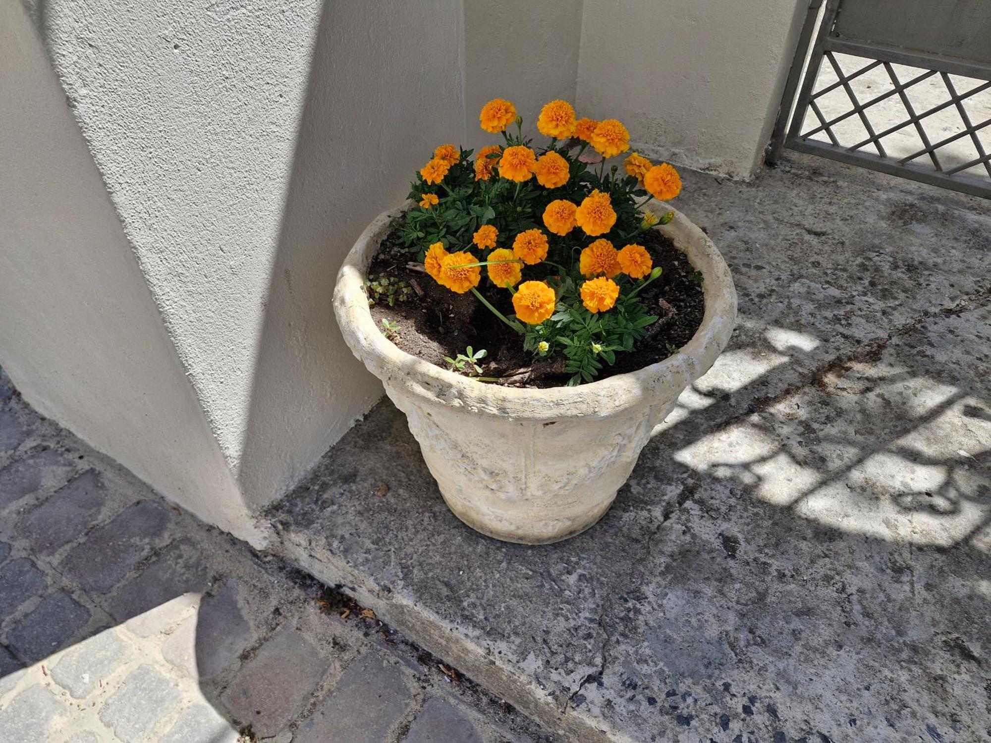 The Botanical House Apartamento Somerset West Exterior foto